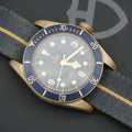 Tudor Black Bay Bucherer Bronze 43mm