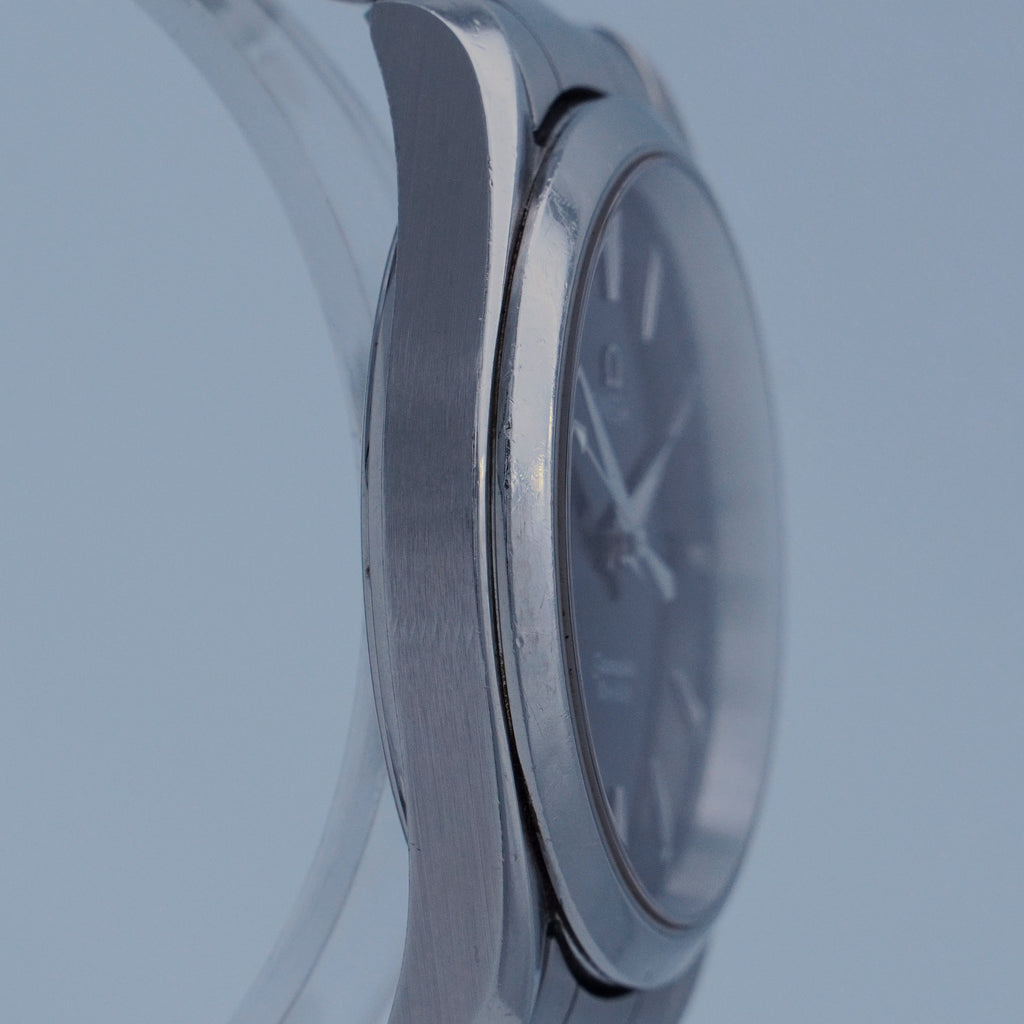 Omega Seamaster Aqua Terra 39mm