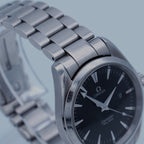 Omega Seamaster Aqua Terra 39mm